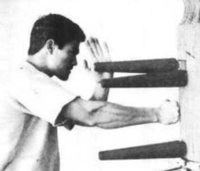 Вин Чун Wing Chun, Цигун, Бокс.